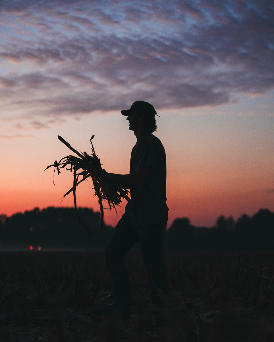 Carrying decoys out of the field at last light