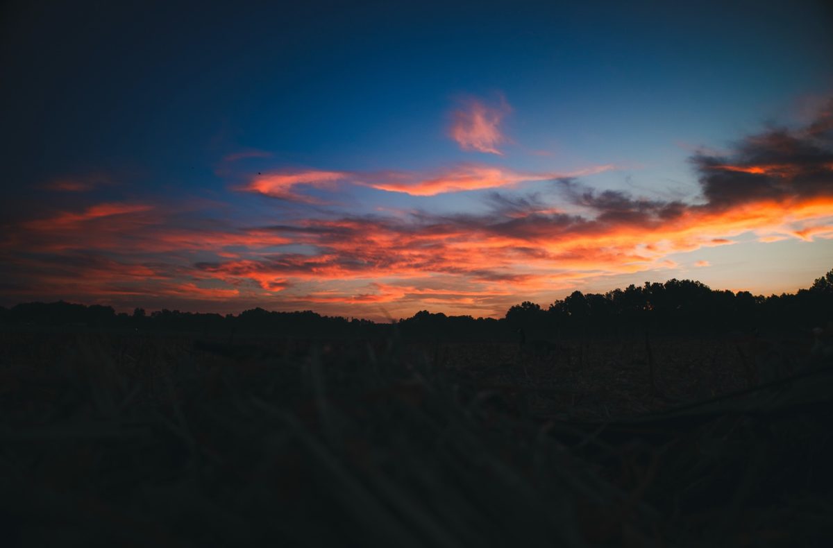 Sunset over a cut field in West Tennessee